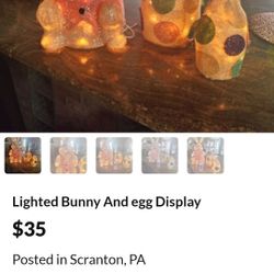 Lighted bunny and 2 Eggs