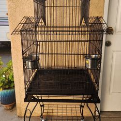 Bird Cage