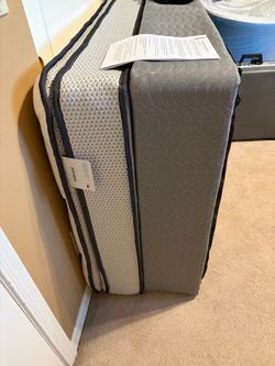 Twin xl bed & box spring, $199
