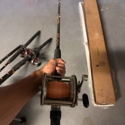 Fishing Rod