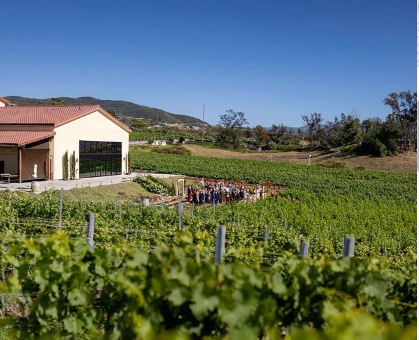 Danza Del Sol Winery