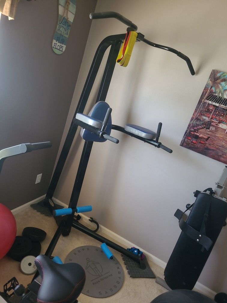 Pull Up Dip Station