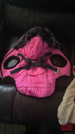 Winter Clothing For Dog