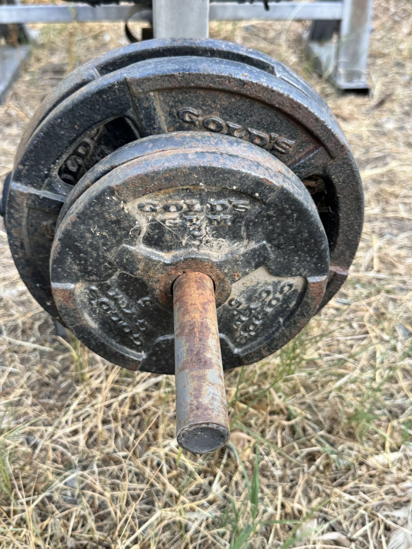 EZ BAR WITH WEIGHTS