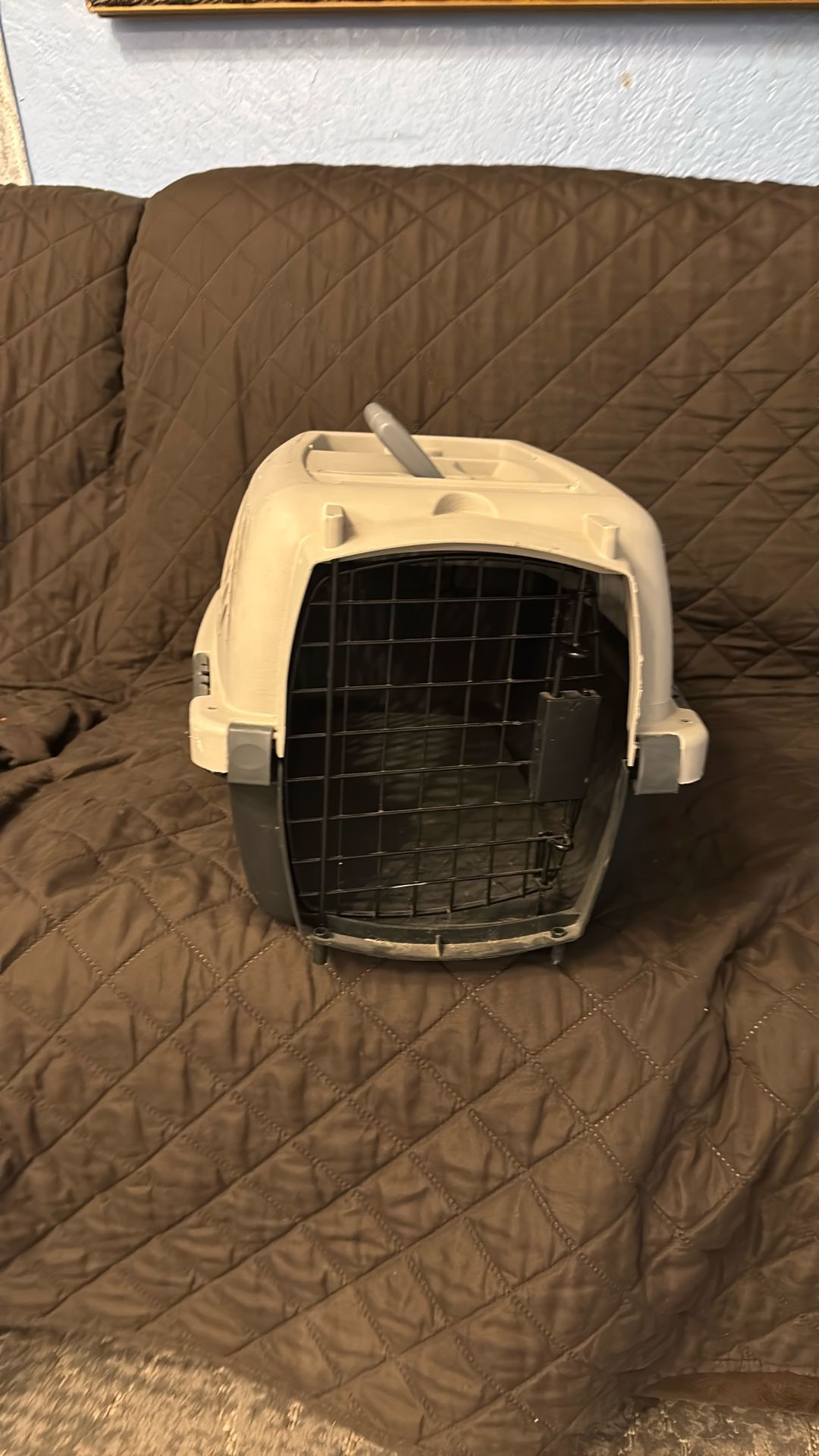 Puppy Travel Cage Pick Up Mission