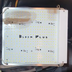 Bloom plus grow light