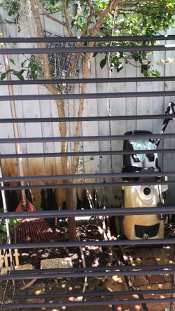 Shoe rack