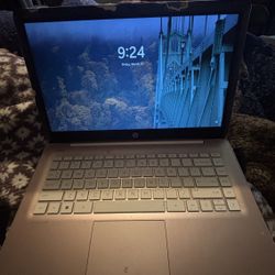 Pink Hp Delle Laptop 