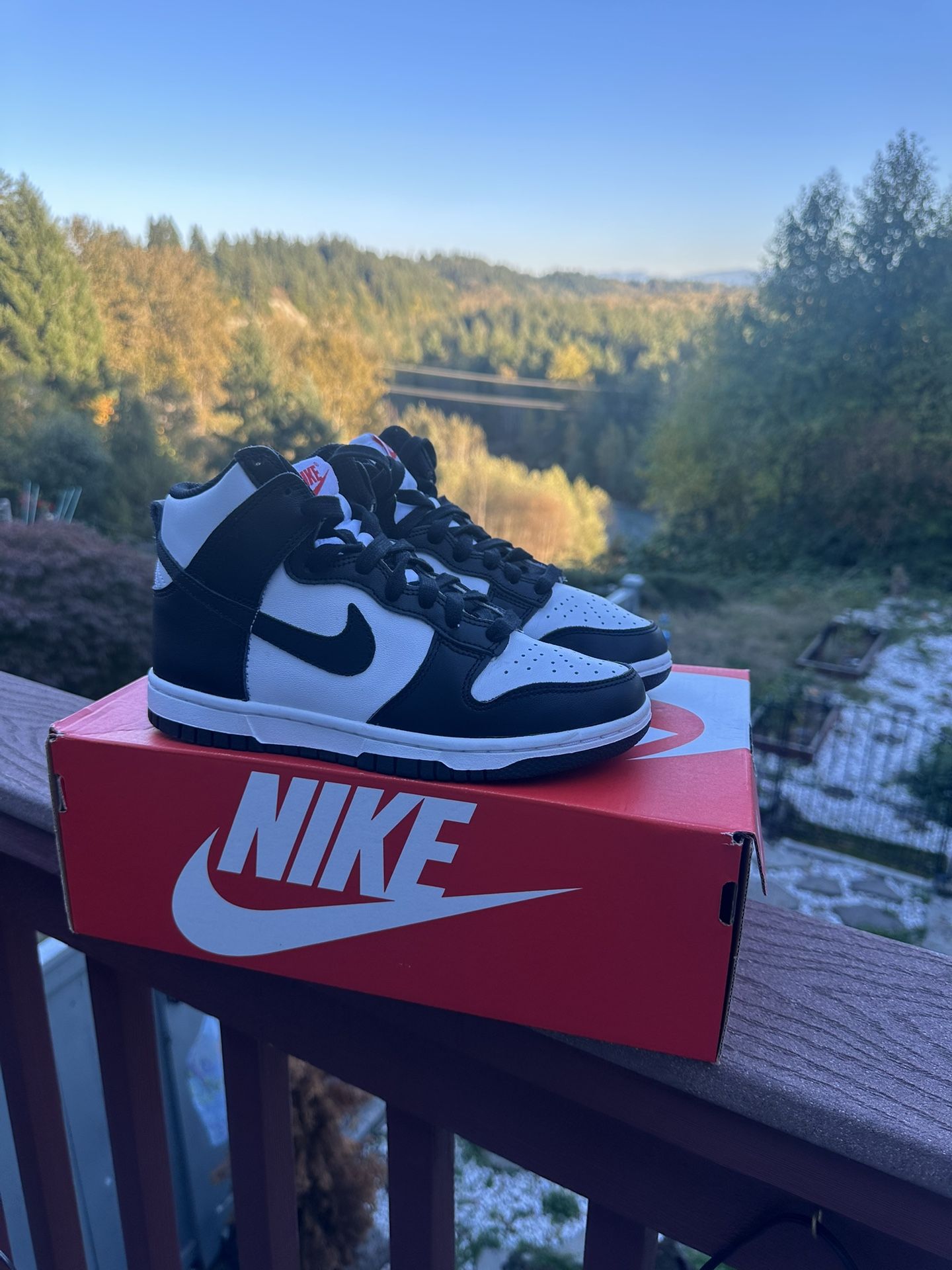 Nike Dunk High “Black & White”