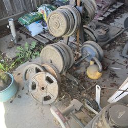 Standard Weights About 300lbs, Bars And Tree $250 OBO 