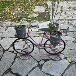 Planter Bike Potted Plant Succulent Floral Garden Bicycle 