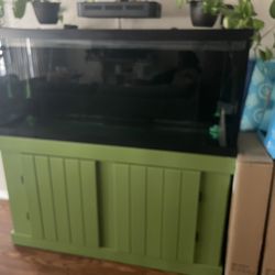 75 Gallon Fish Tank