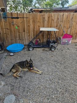 Go-Kart