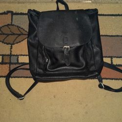 Two Strap Bag