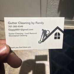 Gutter cleaning