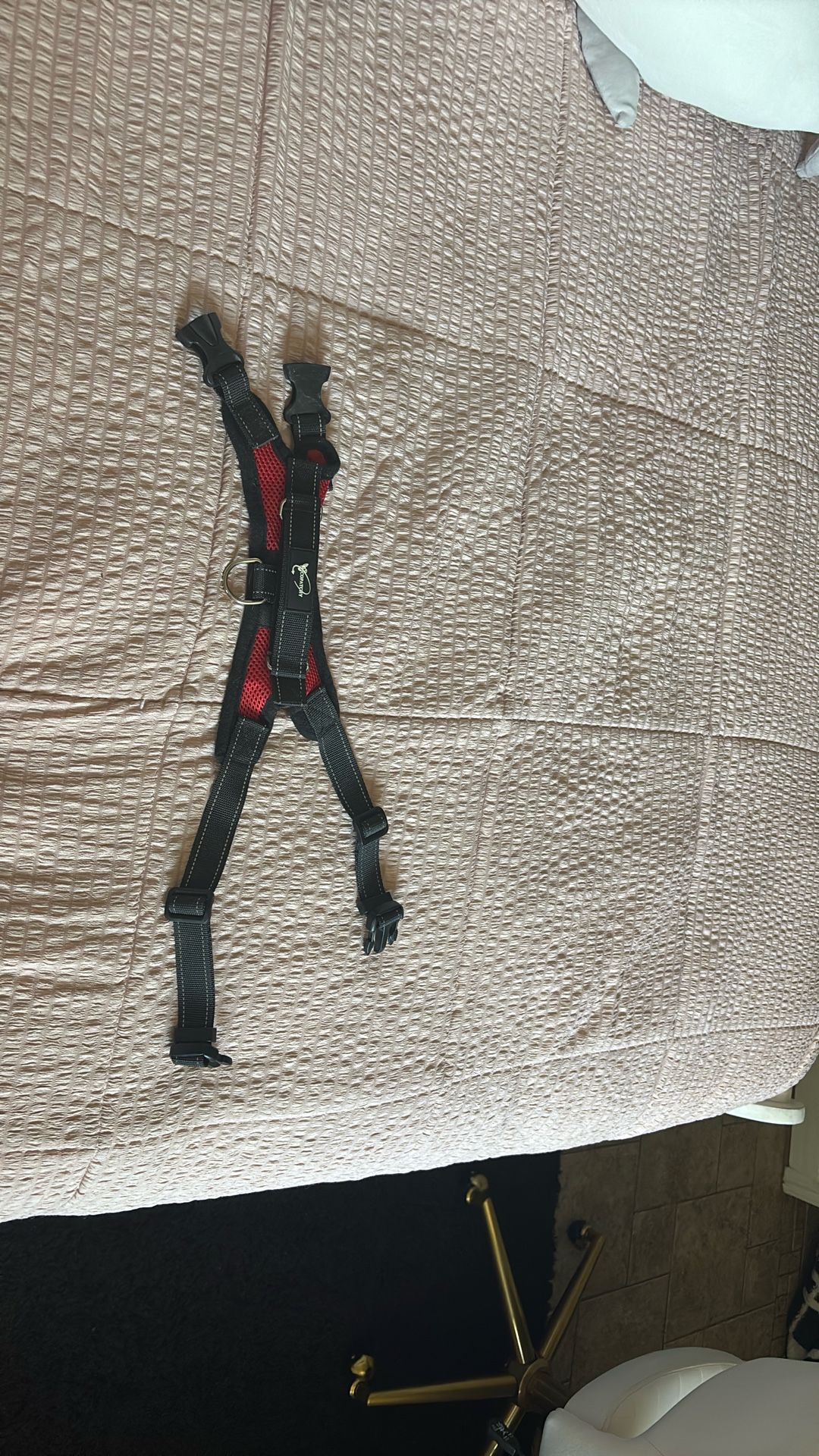 Dog Harness