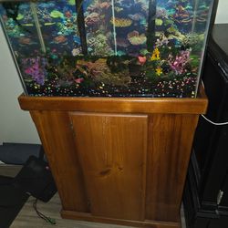 Working Fish Aquarium