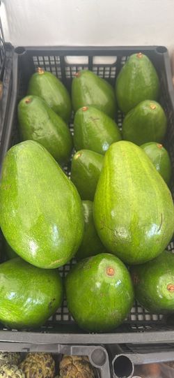 Aguacate