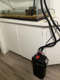Fluval 407 with 40 gal aquarium