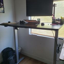 Flexispot Adjustable Desk 48x30