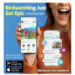 Smart Bird Feeder with Camera, Dual Seed Chambers & Spill Resistant, Solar-Powered HD Birdhouse with Camera