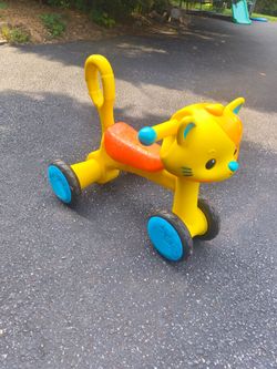 Cute cat car