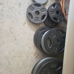 Bench And Weights