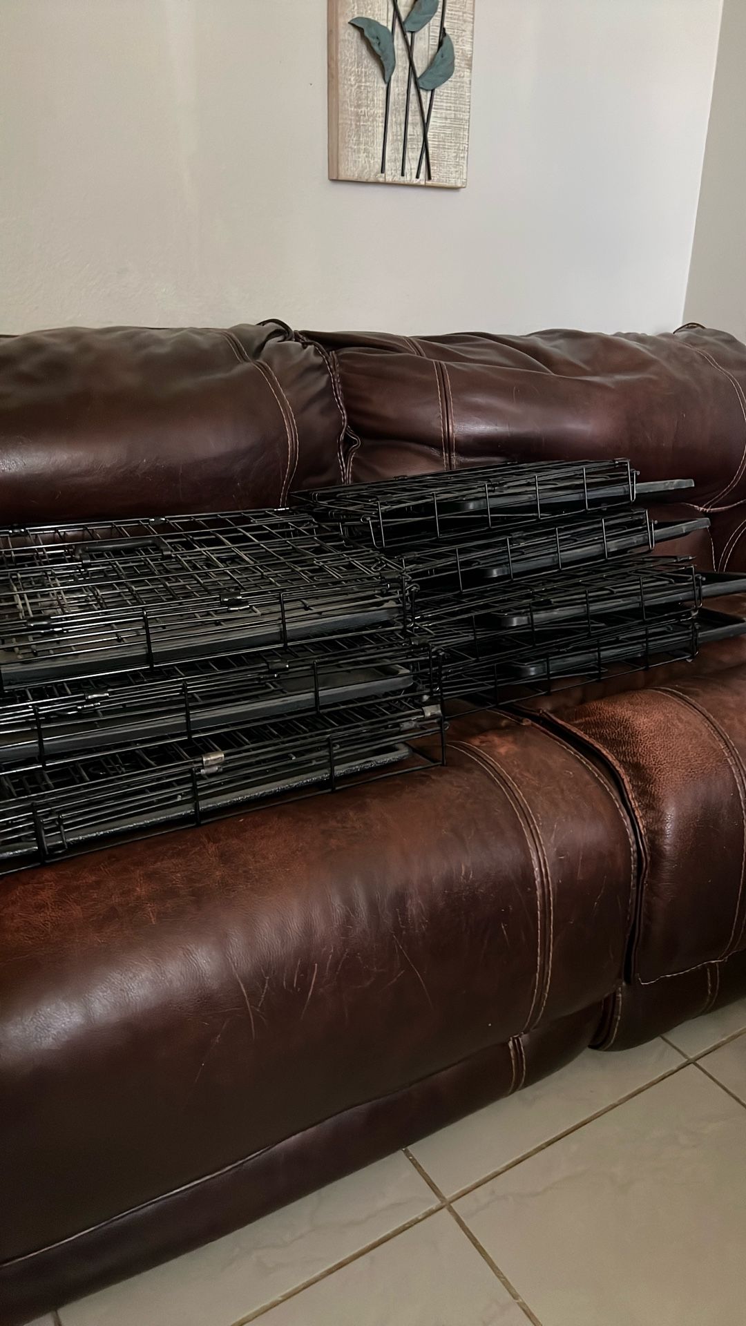 Single & Double Door Dog Crates