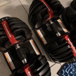 Bow flex Adjustable Weights 