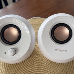 Speakers For PC/Laptop