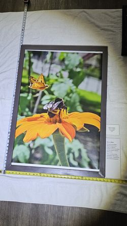 "Once in a Million" Framed Art