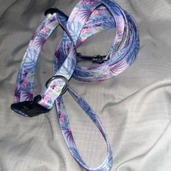Small Dog Collar With Leash 