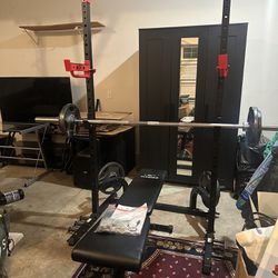 Squat Rack / Bench Press (includes Plates And Dumbbells)