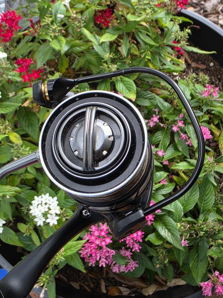 compaxt fishing poles Best Travel Fishing Rods for 2025