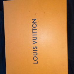 Louis Vuitton Purse