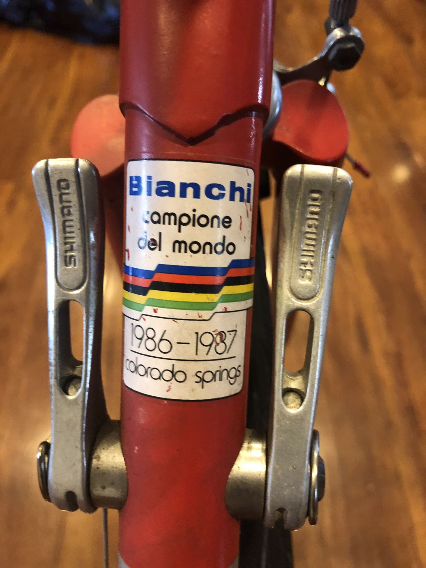 Bianchi rekord 838 campione del mondo road bike