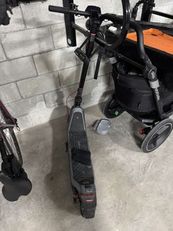 NIU Electric Scooter