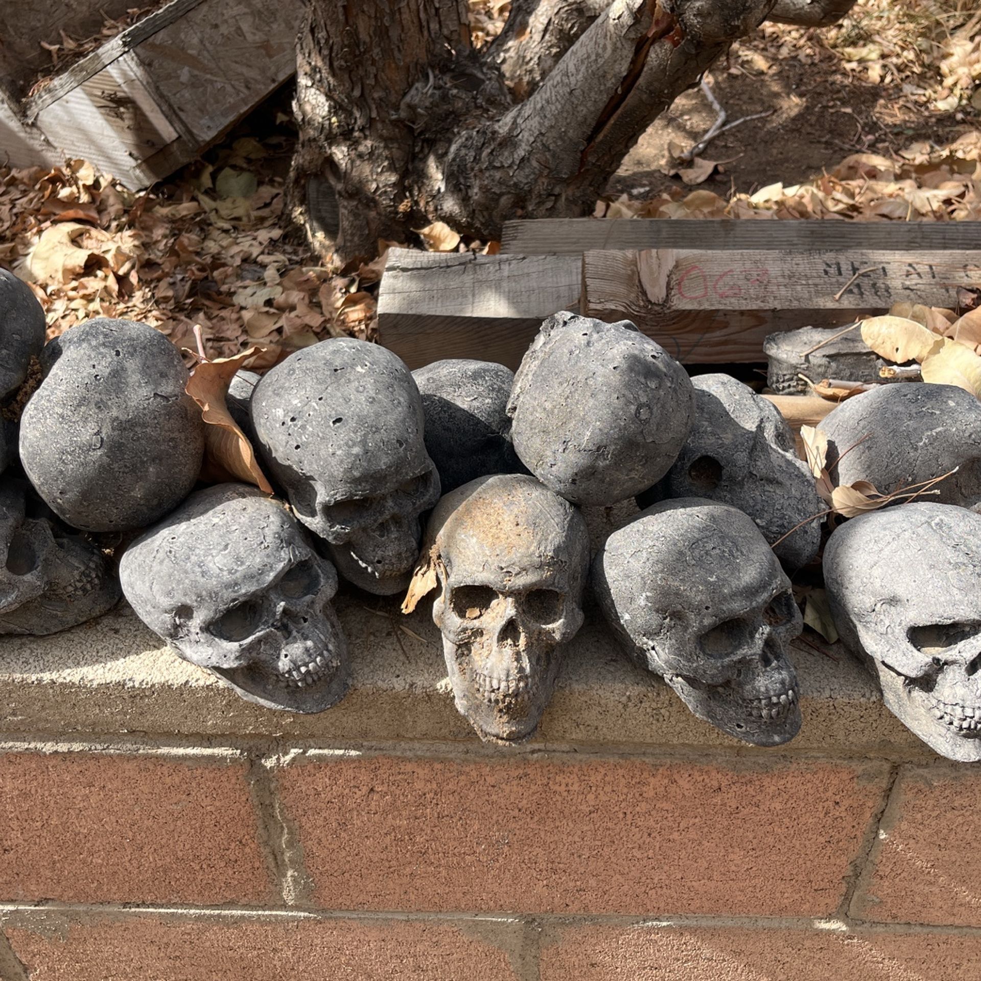 concrete skulls