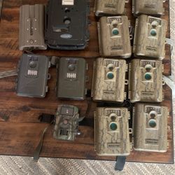 Hunting Trail Cameras