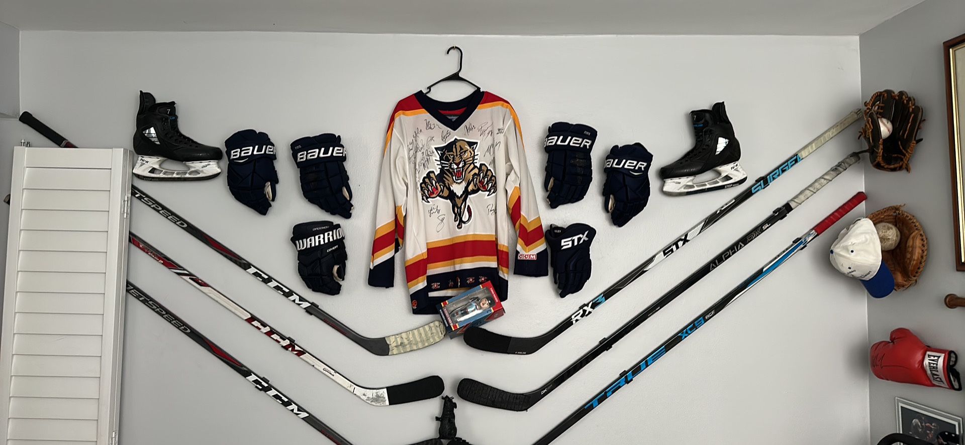 panthers Game Used Memorabilia