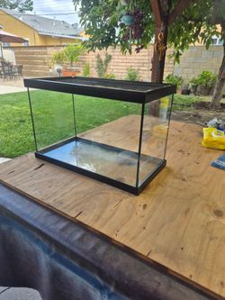 10 gallon fish tank