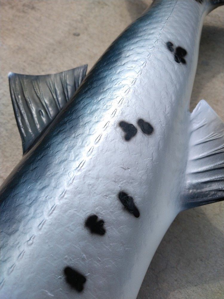 Barracuda Fiberglass Replica Saltwater Taxidermy Full Fish Mount 44"