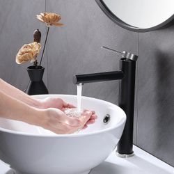 Stainless Steel Vessel Sink Bathroom Faucet F20BN