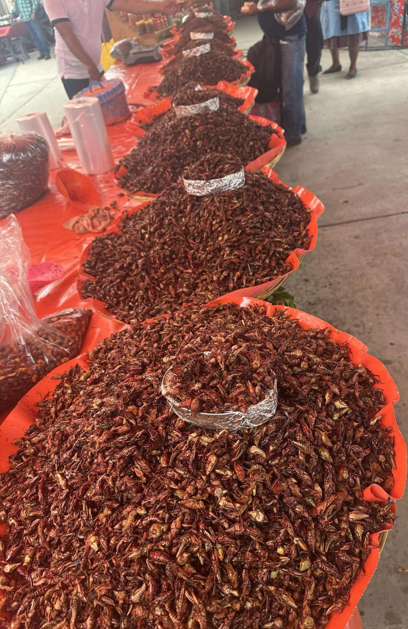 Chapulines Oaxaqueños 
