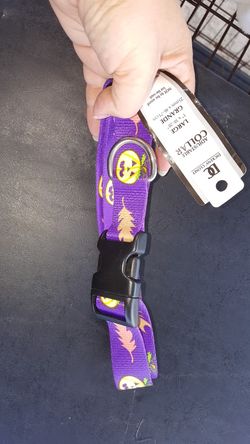 Halloween dog collar