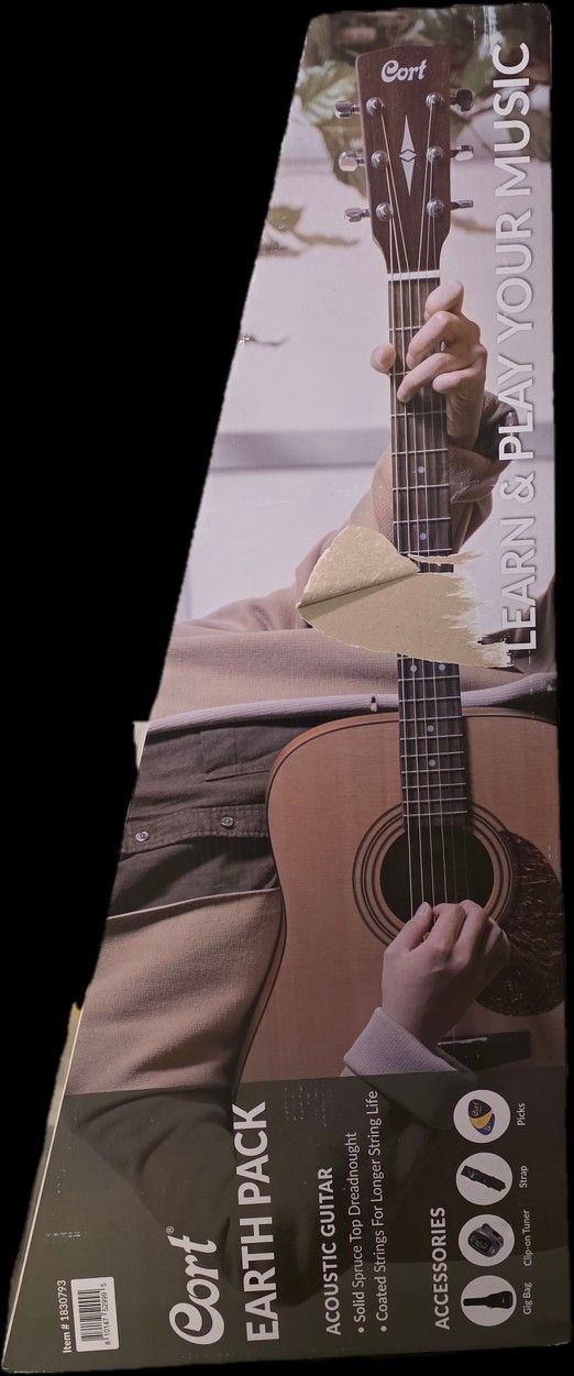 Guitar