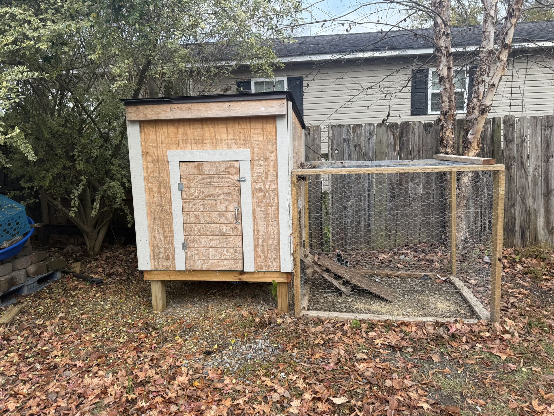 Chicken Coop 