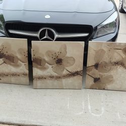 Flower Frames Pictures