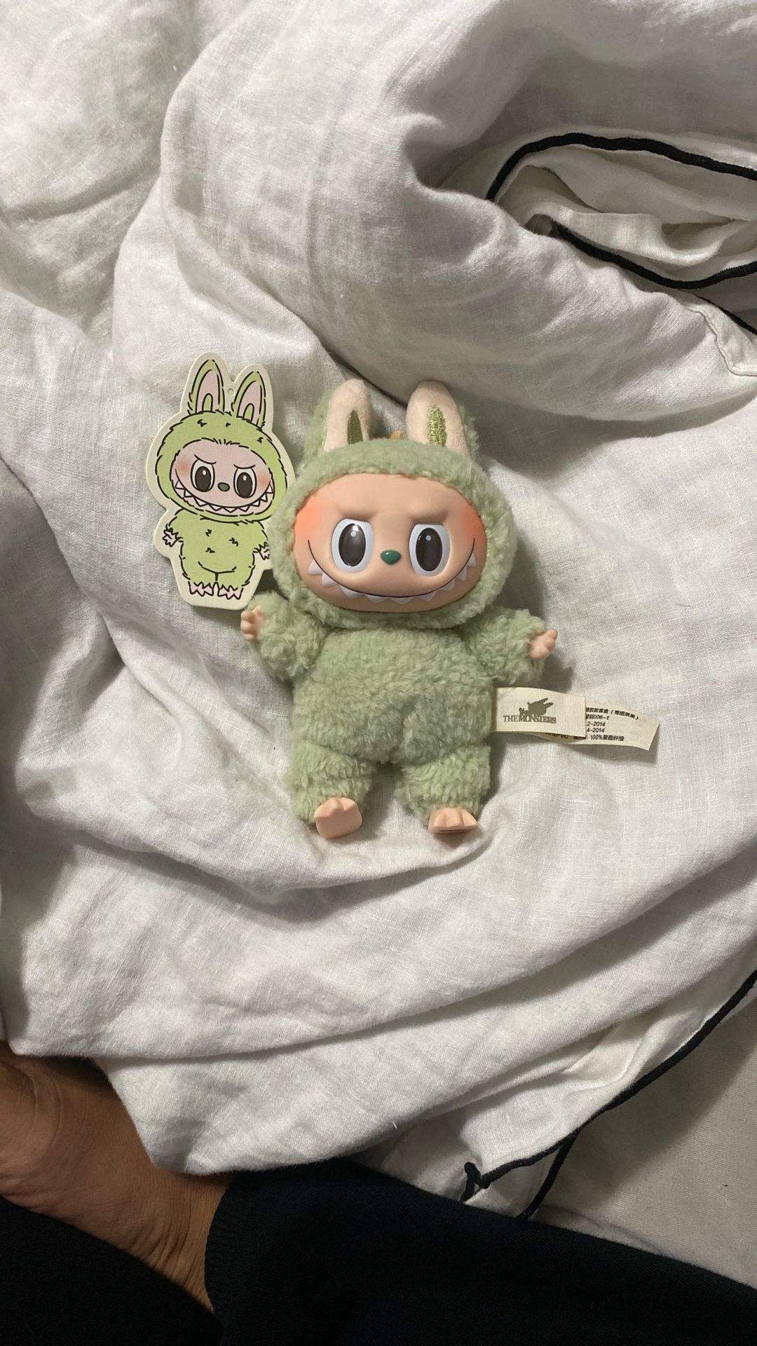 Exciting Macaron Green Grape