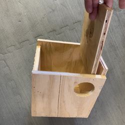 Parakeet Box
